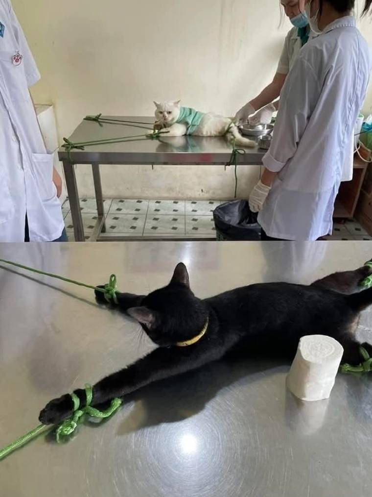 3DM����һ�̵�1659�� �����Ȥ������ʲô��