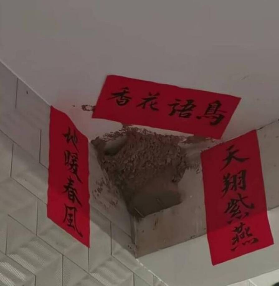 3DM����һ�̵�1659�� �����Ȥ������ʲô��