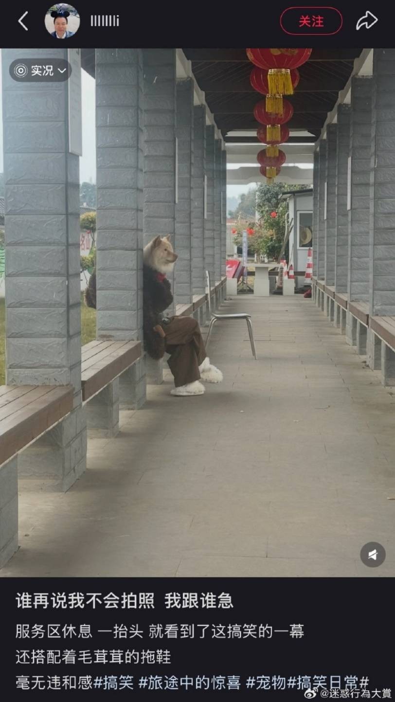 3DM����һ�̵�1659�� �����Ȥ������ʲô��