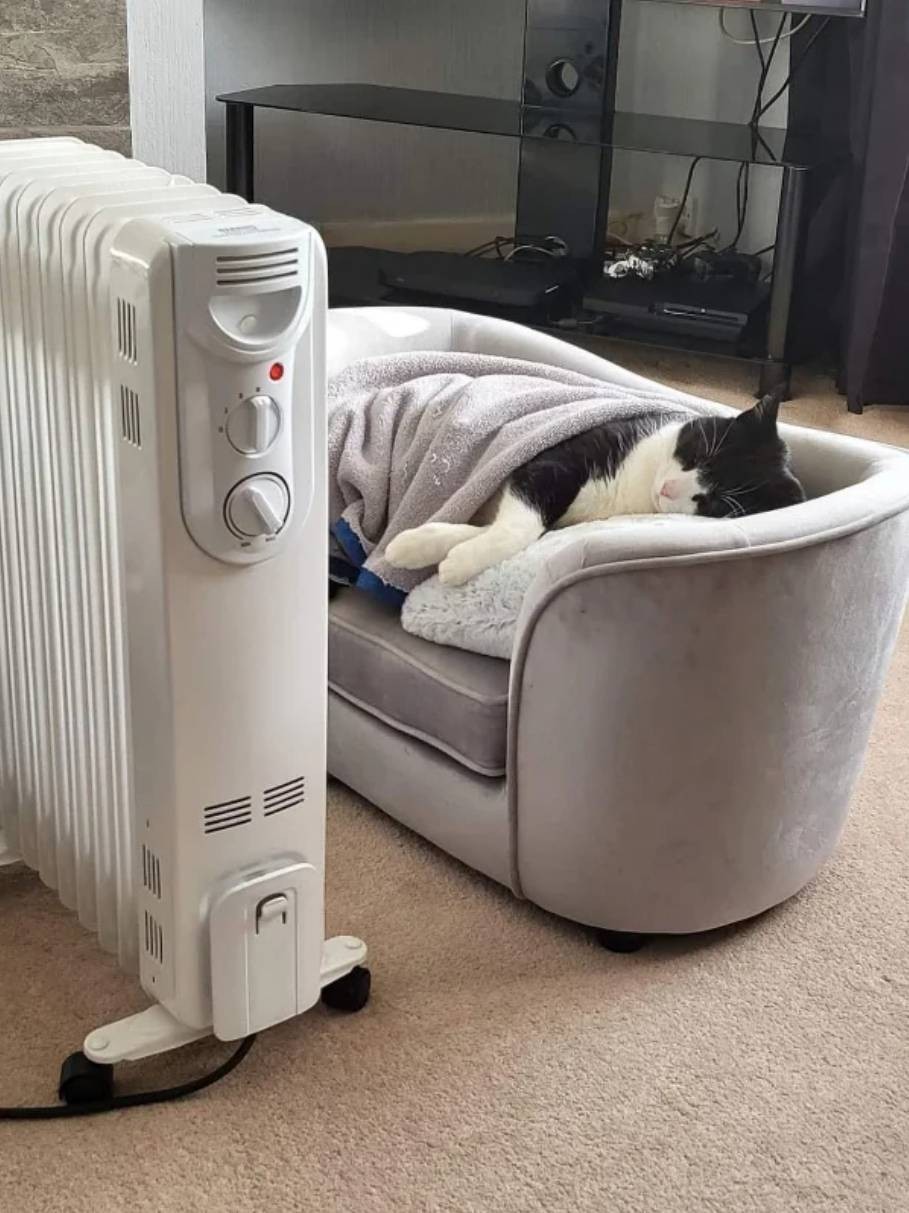 3DM����һ�̵�1660�� ��Ů�Կ�����ĺ���ѽ��