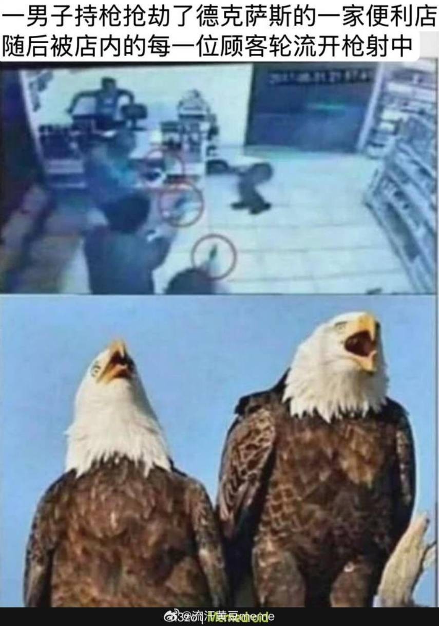 3DM����һ�̵�1660�� ��Ů�Կ�����ĺ���ѽ��