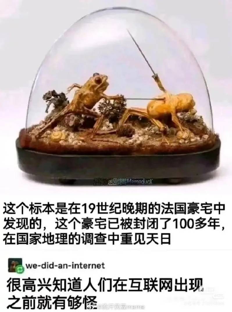 3DM����һ�̵�1660�� ��Ů�Կ�����ĺ���ѽ��