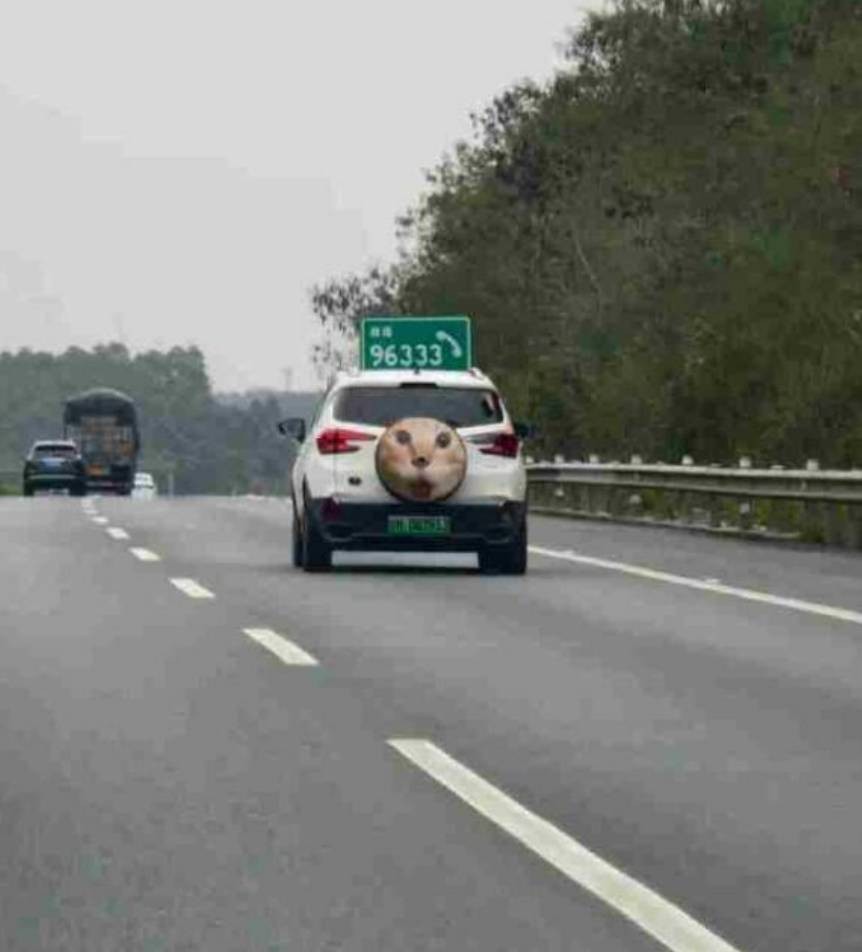 3DM����һ�̵�1661�� ɽ�������˻����˺��ɶ��