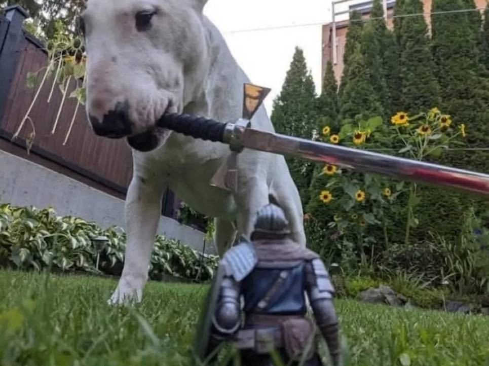 3DM����һ�̵�1661�� ɽ�������˻����˺��ɶ��