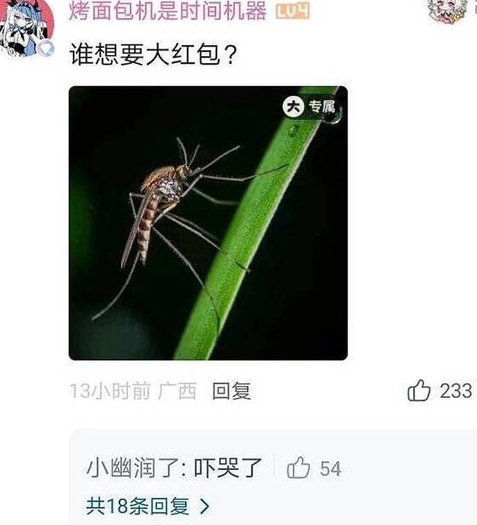 3DM����һ�̵�1661�� ɽ�������˻����˺��ɶ��