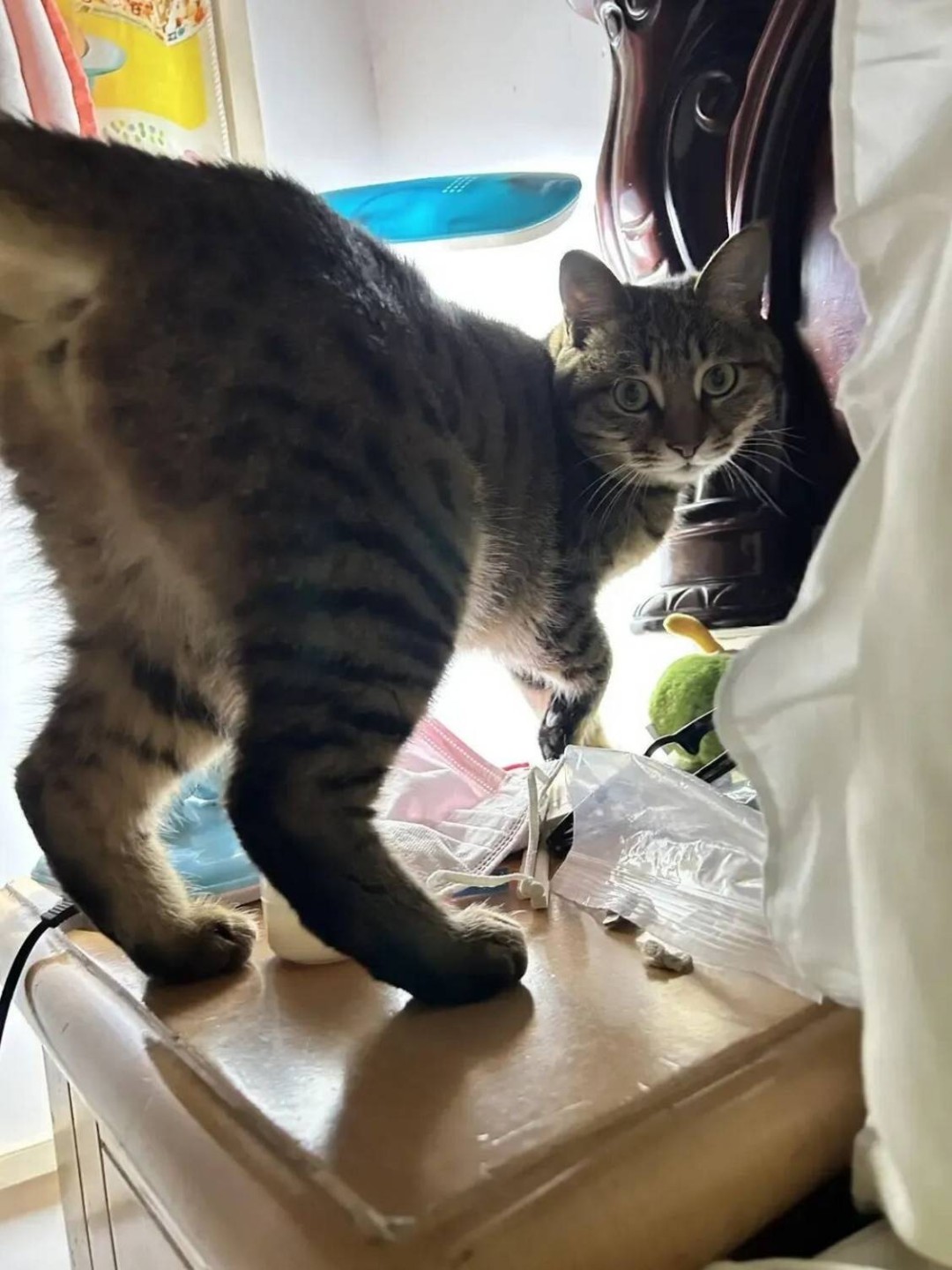 ���帣����ͼ�Ʒ�ϵ�� ��Ů����������°��ղ�ס