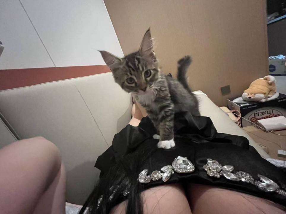 ���帣����ͼ�Ʒ�ϵ�� ��Ů����������°��ղ�ס