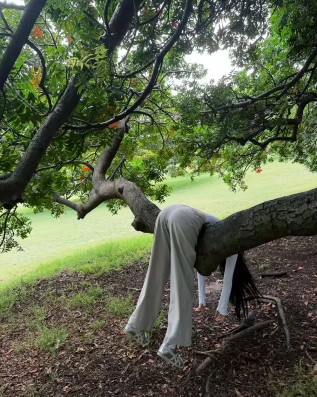 ���帣����ͼ�Ʒ�ϵ�� ��Ů����������°��ղ�ס