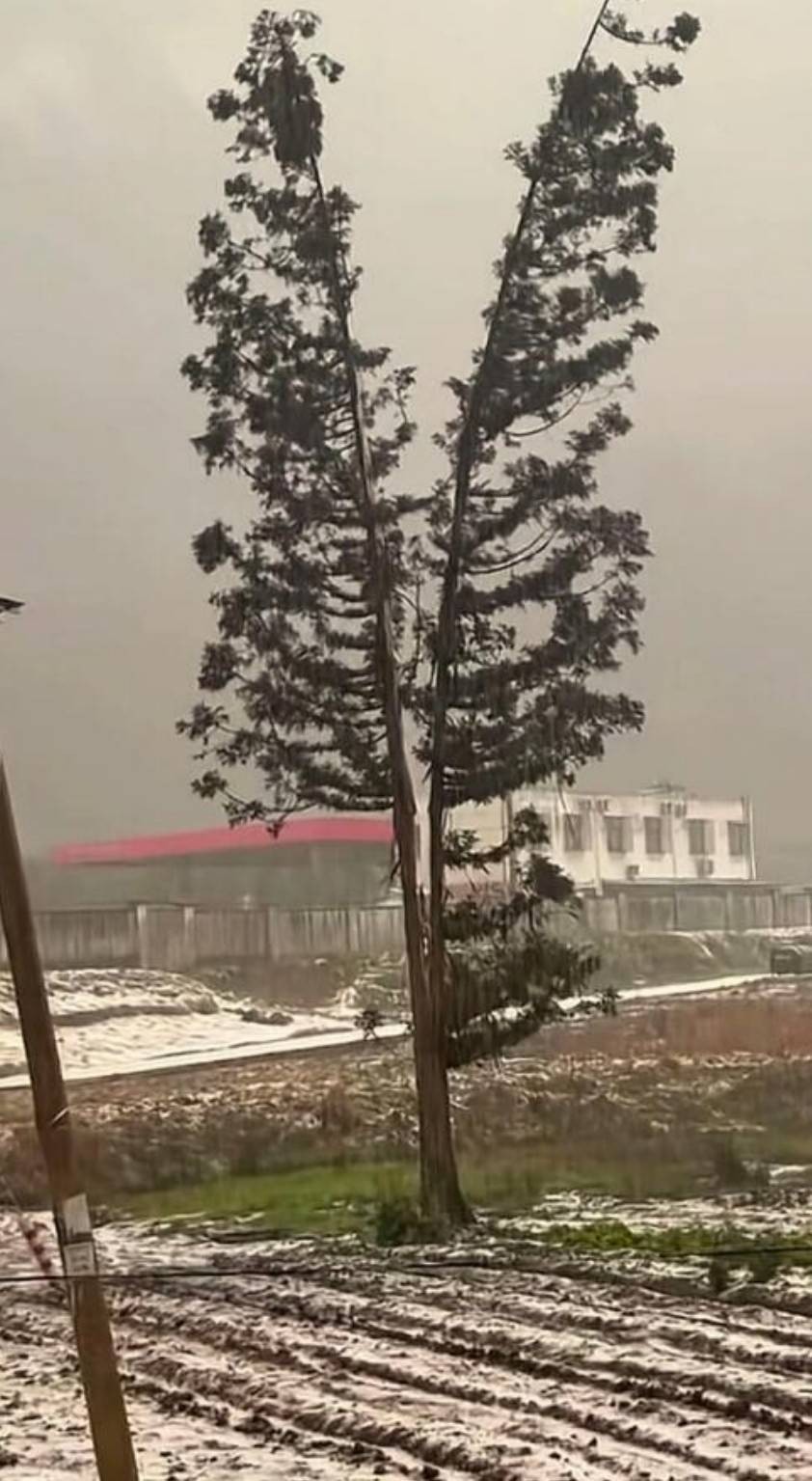 ���帣����ͼ�Ʒ�ϵ�� ��Ů����������°��ղ�ס