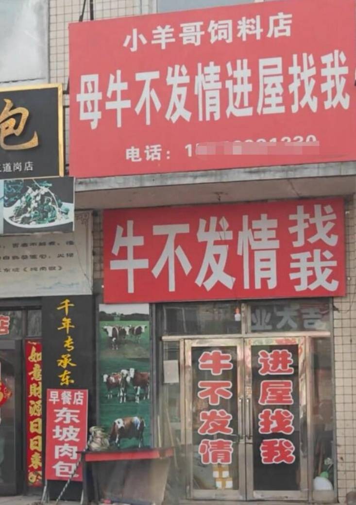 3DM����һ�̵�1662�� ����Ů������������Χ��