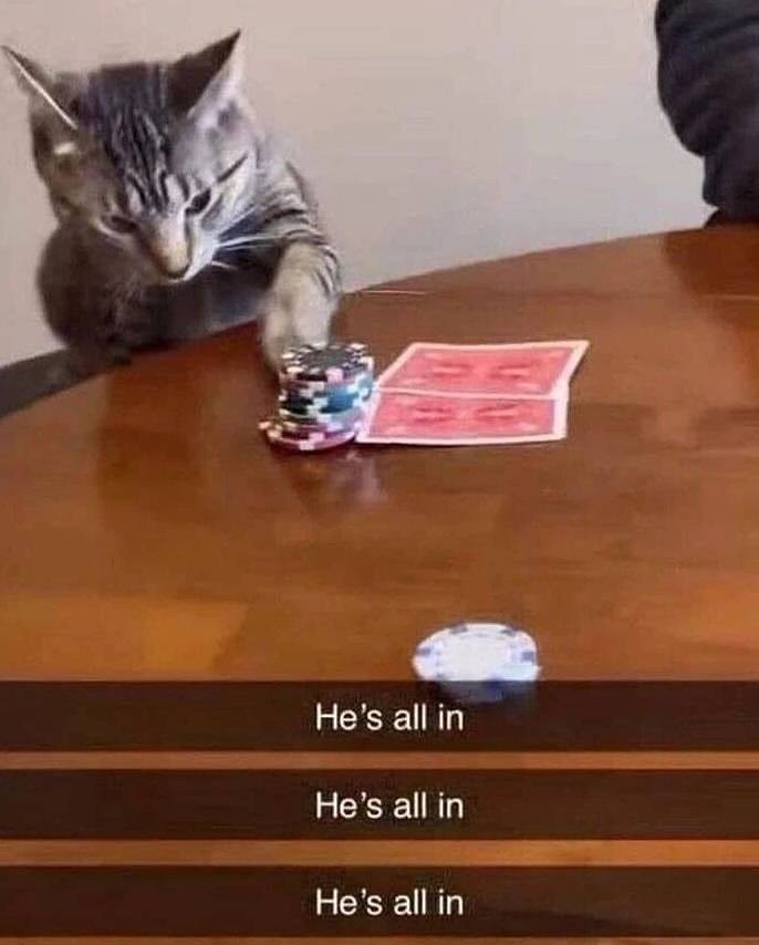 3DM����һ�̵�1662�� ����Ů������������Χ��