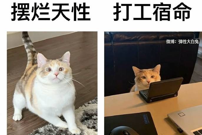 3DM����һ�̵�1662�� ����Ů������������Χ��