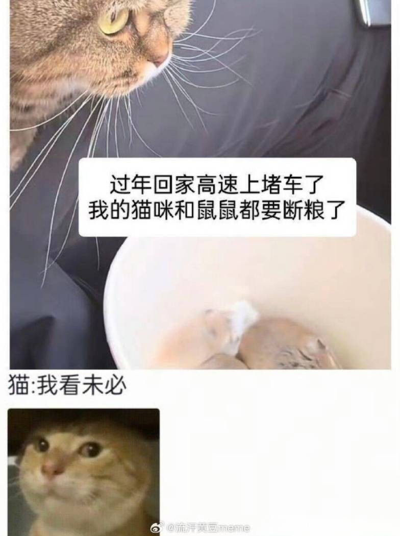 3DM����һ�̵�1662�� ����Ů������������Χ��