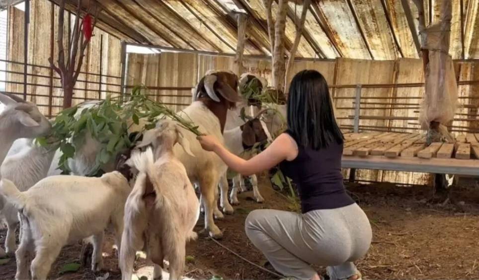 ��һ�ں���ͼ�Ʒ�ϵ�� ���Ӿ޴��ջ����˲����԰�