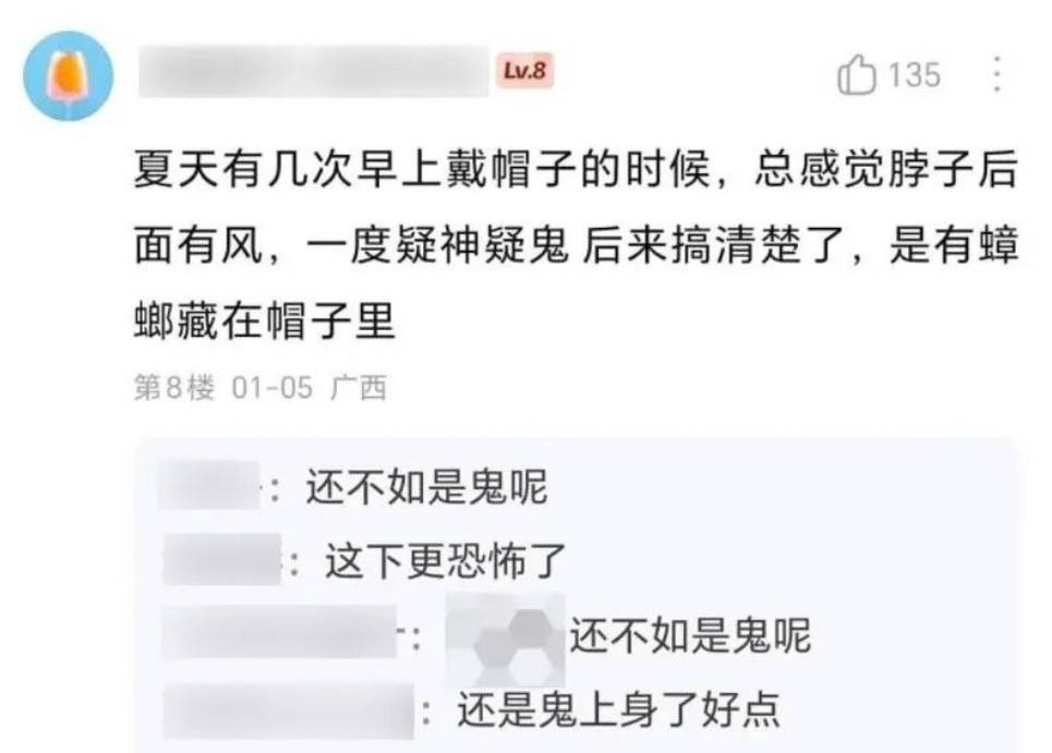 ��һ�ں���ͼ�Ʒ�ϵ�� ���Ӿ޴��ջ����˲����԰�