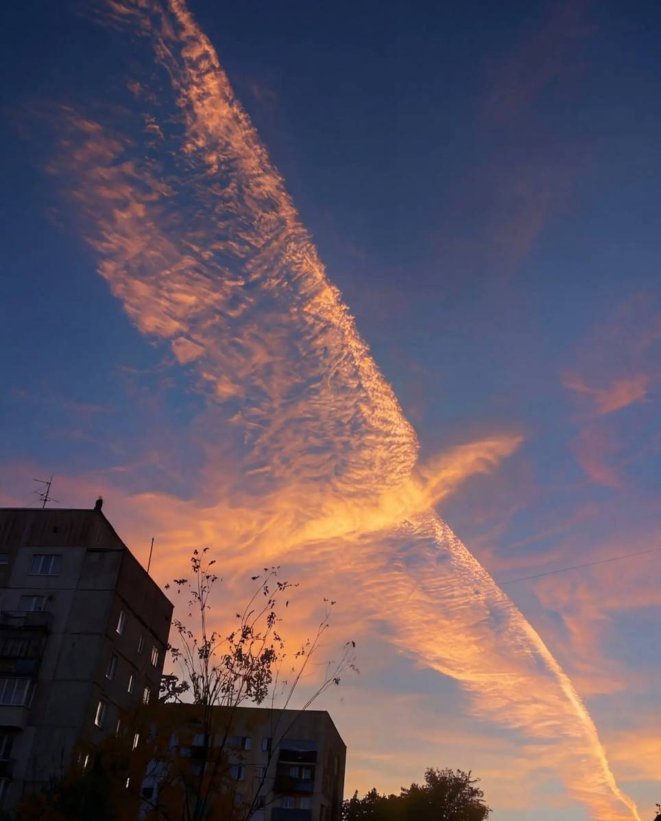 ��һ�ں���ͼ�Ʒ�ϵ�� ���Ӿ޴��ջ����˲����԰�