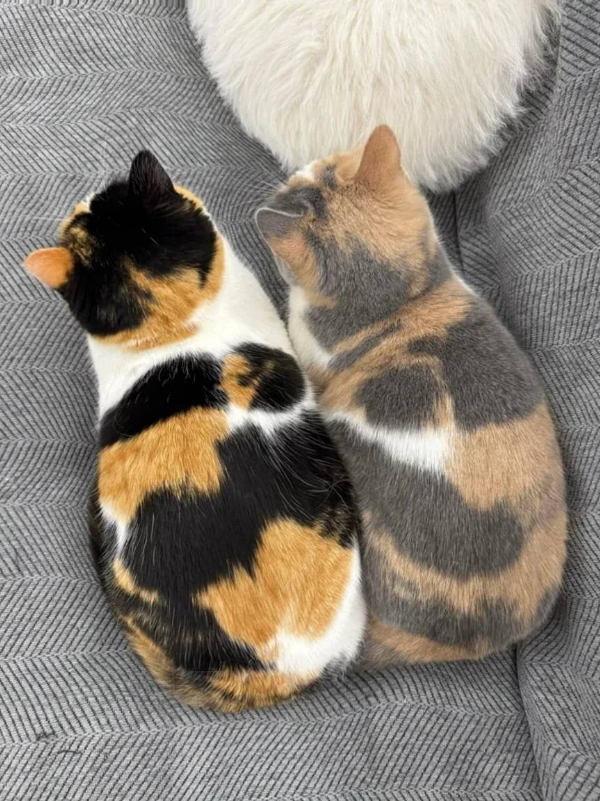 3DM轻松一刻第1663期 浪花解衣波涛涌 柔韧曲线美