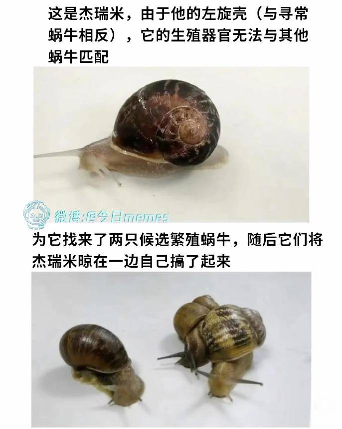 3DM����һ�̵�1663�� �˻����²���ӿ ����������