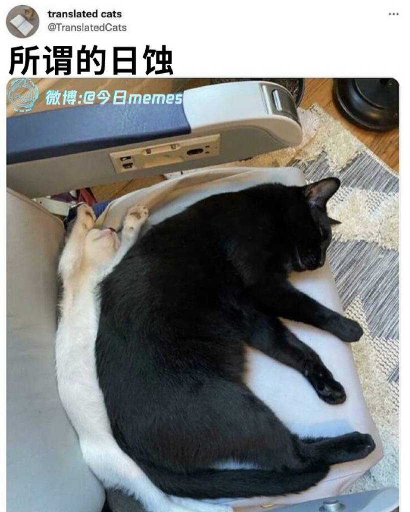 3DM����һ�̵�1663�� �˻����²���ӿ ����������