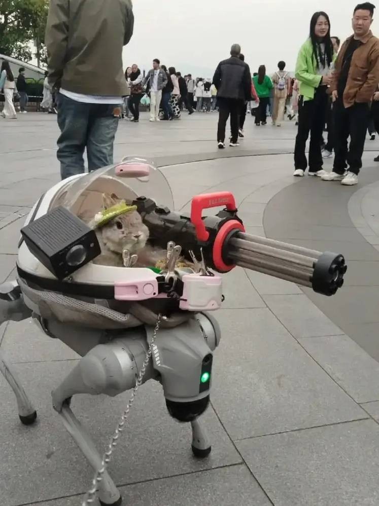 3DM����һ�̵�1663�� �˻����²���ӿ ����������