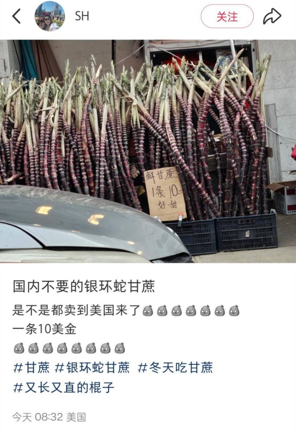 3DM����һ�̵�1664�� �۽���Ů���������ƣ�