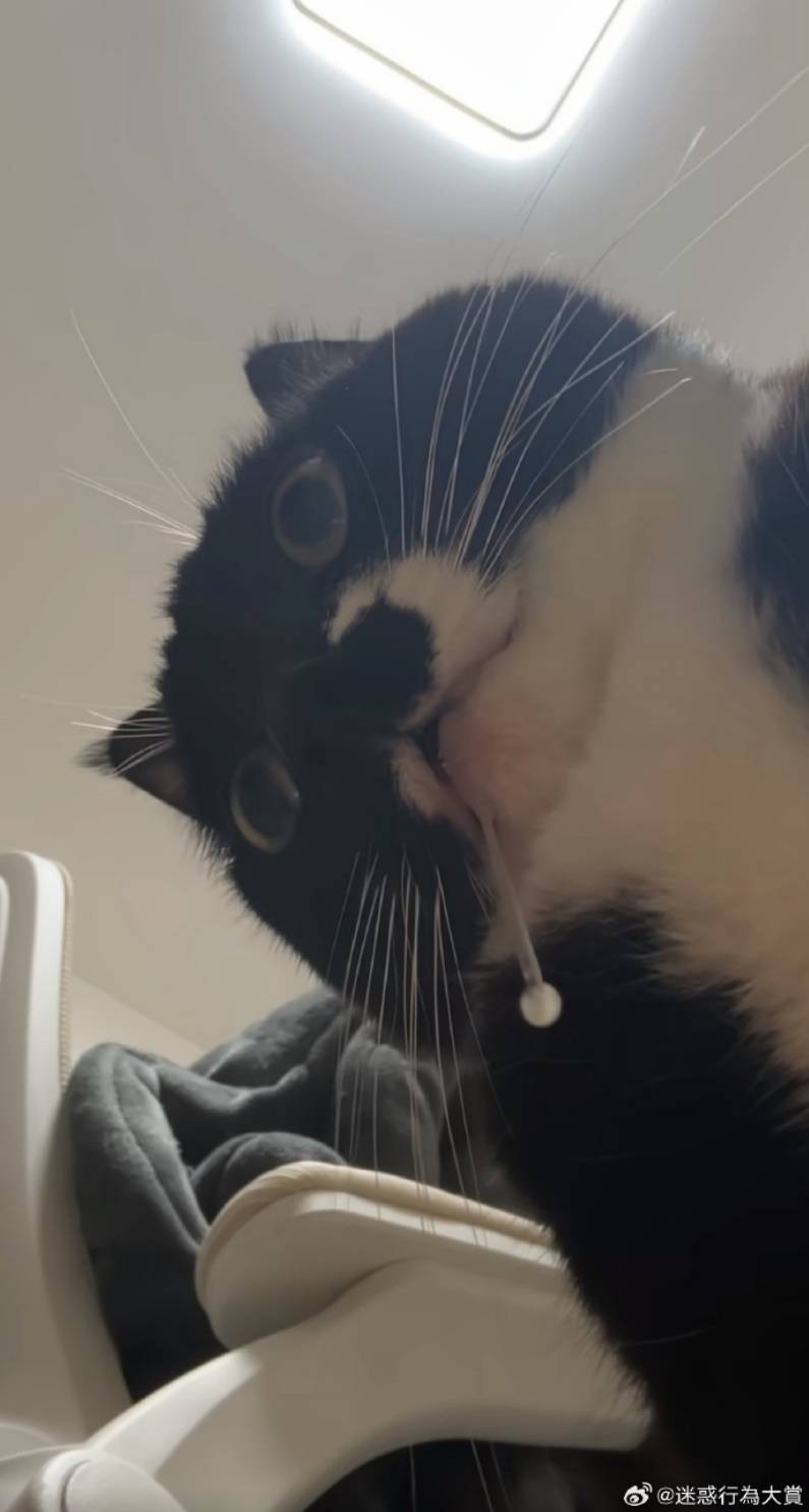 3DM����һ�̵�1664�� �۽���Ů���������ƣ�