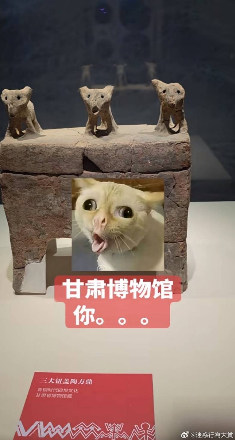 3DM����һ�̵�1664�� �۽���Ů���������ƣ�