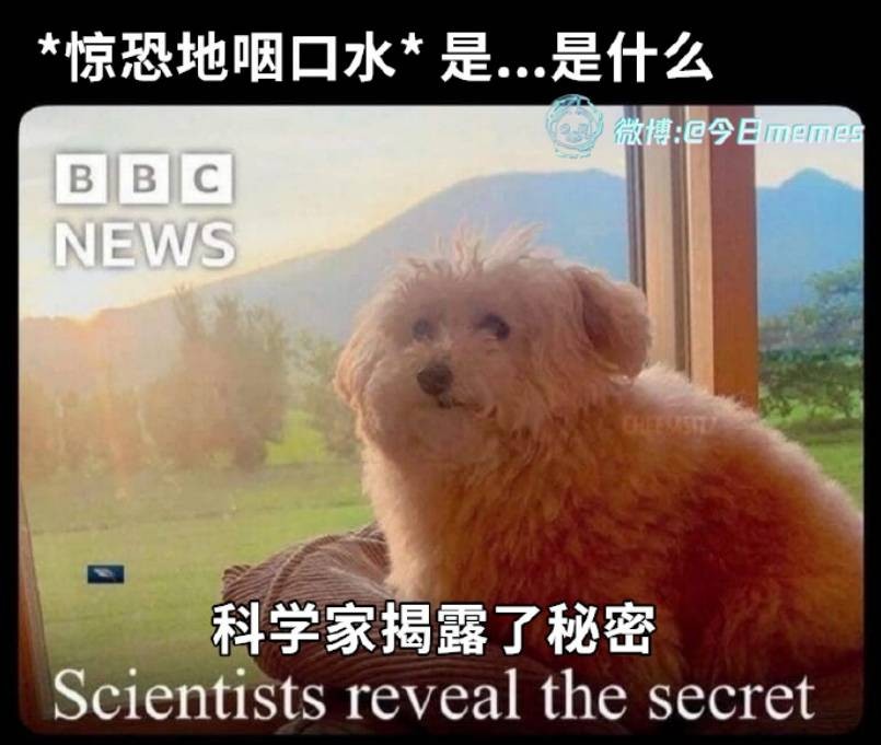 3DM����һ�̵�1664�� �۽���Ů���������ƣ�