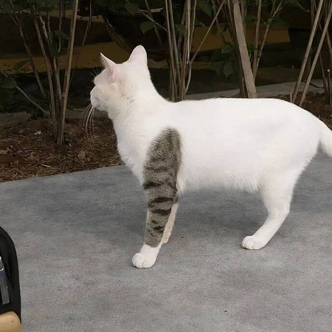 3DM轻松一刻第1666期 你浑身肌肉只会吸引同性