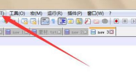 Notepad++怎么自定义打印页眉